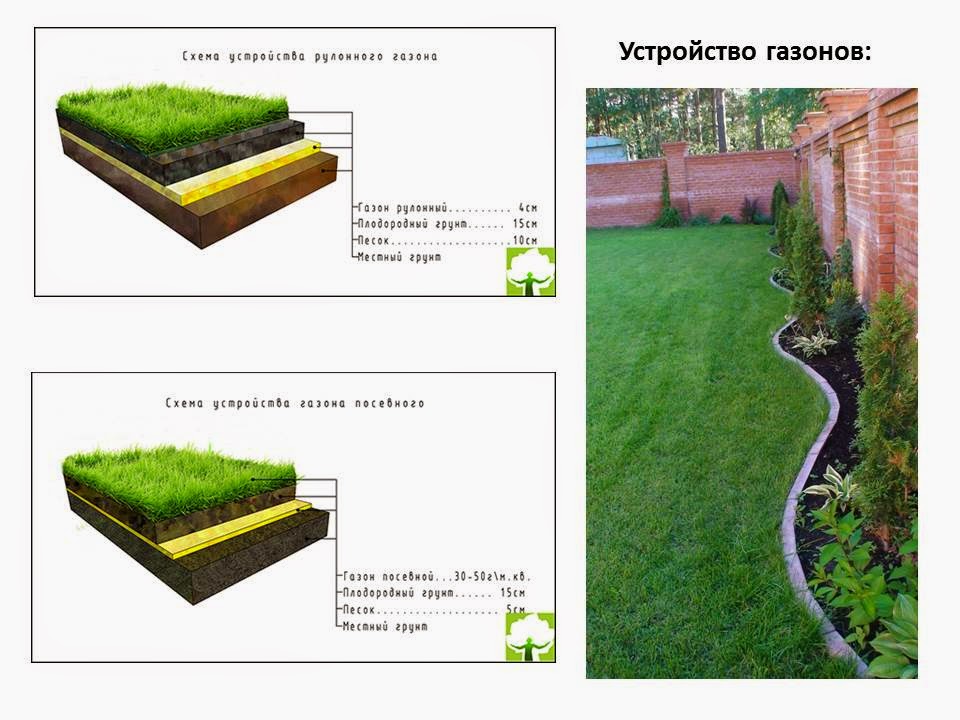 Газон на схеме