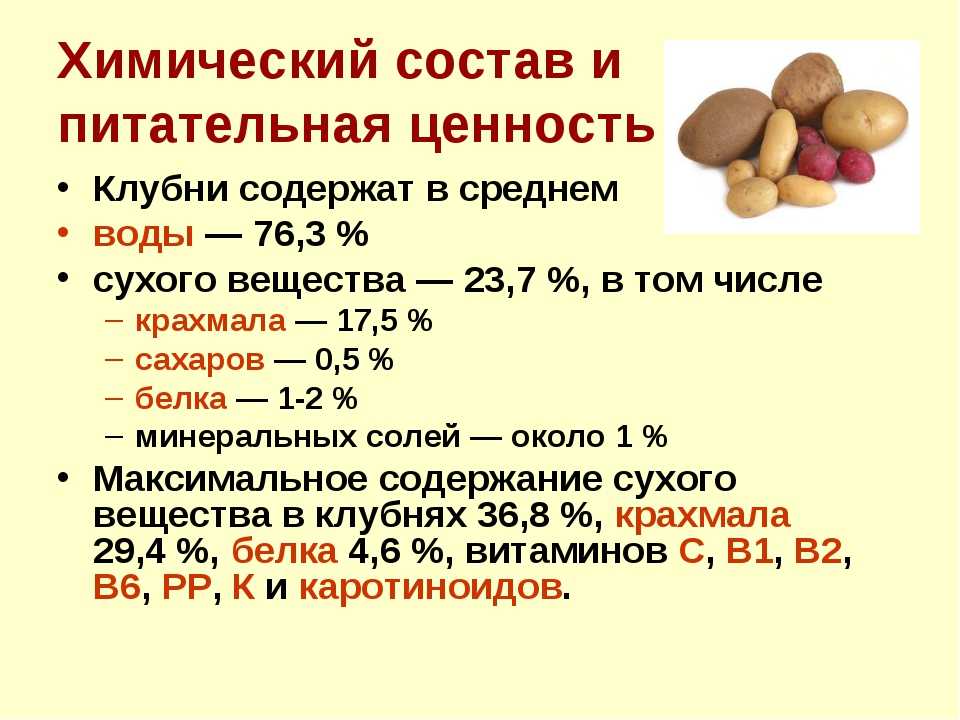 В картофеле есть вода. Пищевая ценность картофеля на 100 грамм. Пищевая ценность картофеля обусловлена. Химический состав картофеля на 100 грамм. Питательные вещества в картошке.