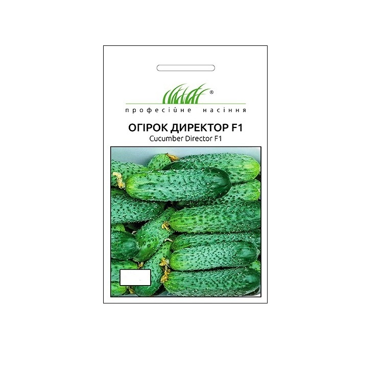 Огурцы Директор Отзывы Фото