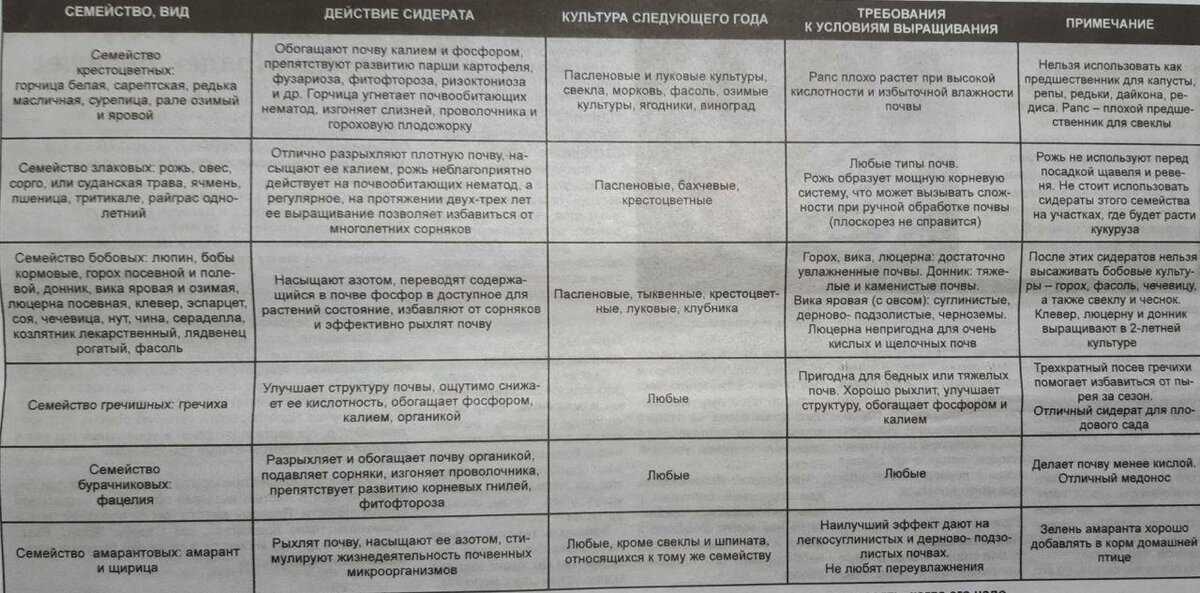 Сидераты как правильно использовать. Таблица сидератов и культур. Сидераты для почвы. Сидераты таблица. Сидераты для огорода таблица.