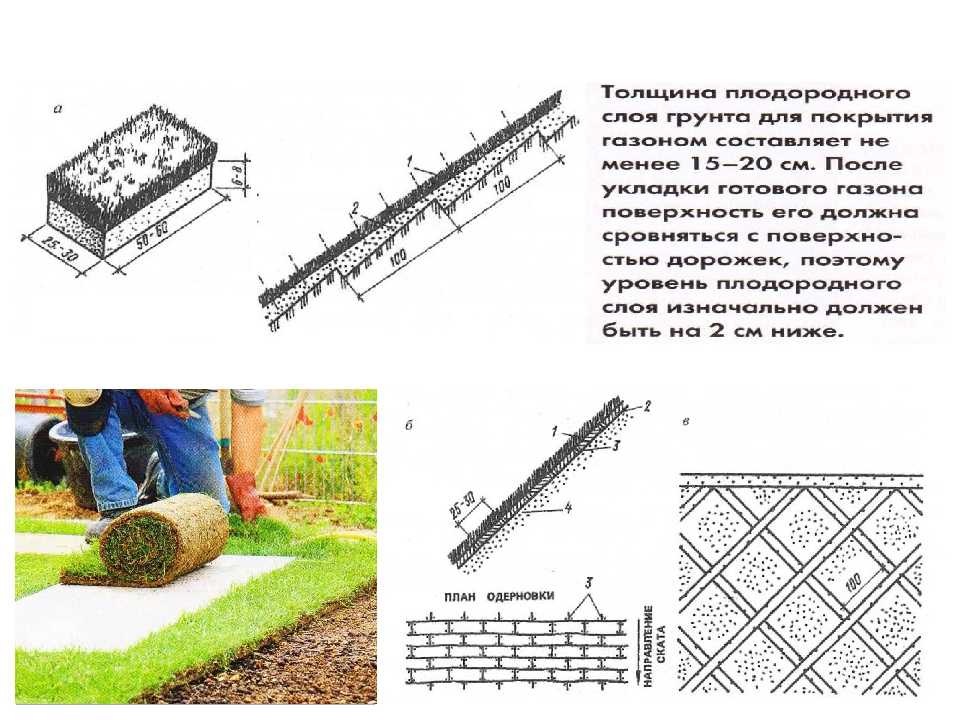 Реши задачу вдоль дороги укладывали газон. Схема устройства посадки газона. Технологическая карта устройства газона. Технологическая карта устройства газона методом посева. Схема устройства покрытия газона.