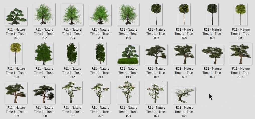 Названия распространенных деревьев. Быстрорастущие деревья таблица. Название деревьев и кустарников. Деревья виды и названия. Деревья по названиям.