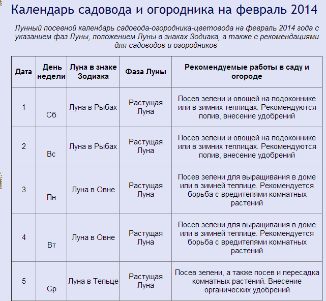 Лунный календарь для комнатных растений и цветов