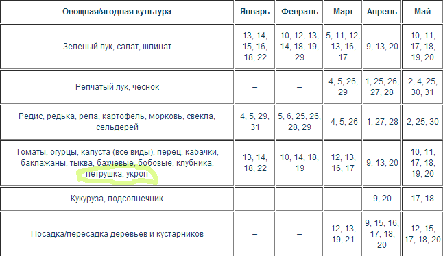 Посевной календарь для моркови. Благоприятные дни для посадки укропа.