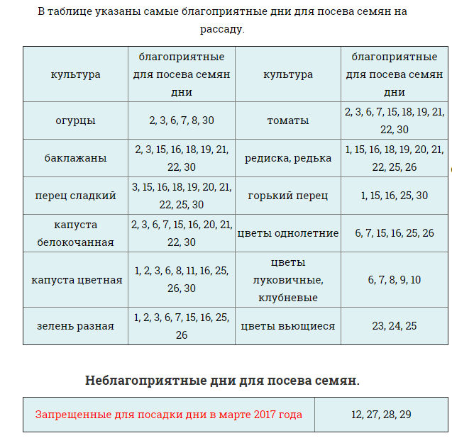 Благоприятные дни посева томатов в 2024 году