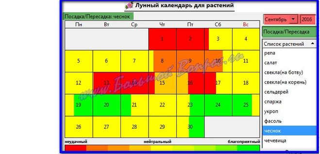 Благоприятные дни посадки чеснока в октябре. Лунный календарь для посадки чеснока. Дни посадки чеснока в октябре. Посадка чеснока в сентябре 2022. Дни посадки чеснока в сентябре.