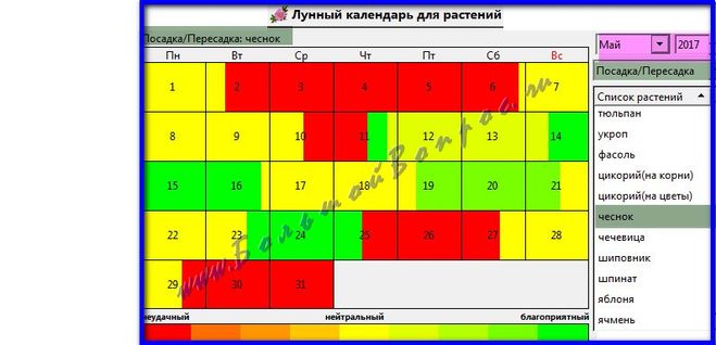 Благоприятные дни посадки чеснока в ноябре