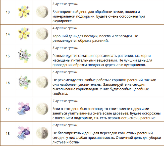 Лунный календарь для комнатных цветов