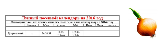 Посадка лука по зиму по лунному календарю Лунный календарь лук на зелень: найдено 83 изображений