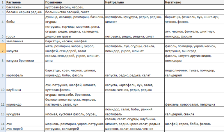 Таблица совместимости овощных культур на огороде таблица с фото