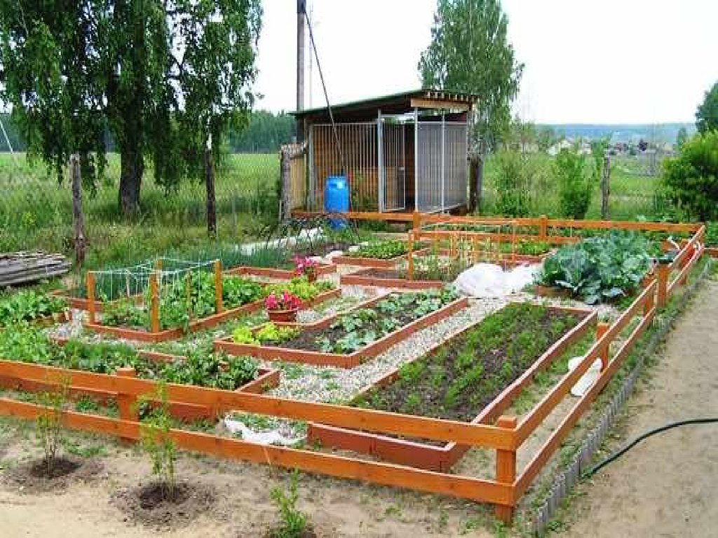 План огорода. Планировка дачного огорода. Планировка огородных грядок. Разделение огорода и сада. Дача с огородом и зоной отдыха.