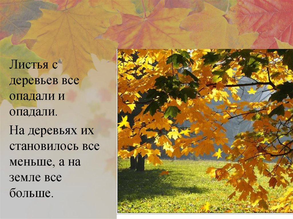 Что делали листья листья опадали. Презентация опавшие листья. Когда опадают листья с деревьев. Листья пожелтели опадают. Когда начинают опадать листья с деревьев.