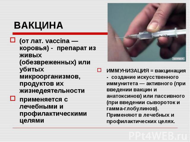 Достаточно одной прививки. Введение вакцины. Вакцины прививки сыворотки. Иммунитет после введения вакцины. Иммунитет при введении вакцин и сывороток.