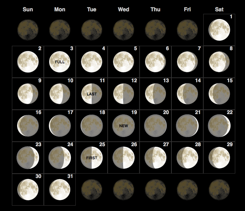 Какая сейчас луна на сегодня. Moon phases 2021. Фазы Луны в августе 2021. Фаза Луны сейчас. Седьмой лунный месяц это.