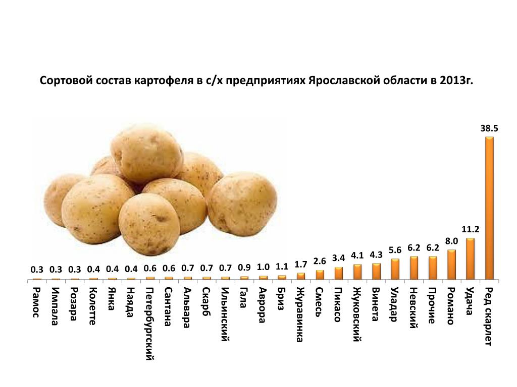 Картофель химия. Состав картофеля. Состав картофеля на 100 грамм. Химический состав картошки. Витамины в картофеле.