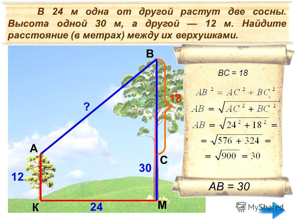 Найти расстояние между углами. Две сосны растут на расстоянии. 2 Сосны растут на расстоянии. На расстоянии метра. 10 Метров расстояние.