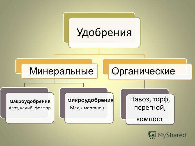 Виды удобрений. Удобрения микроудобрения. Виды удобрений микроудобрения. Микроудобрения это Минеральные удобрения. Удобрения микроудобрения таблица.