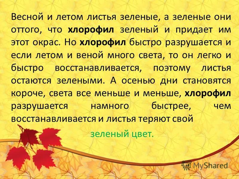 Осенью желтеют и опадают. Почему осенью желтеют и опадают листья для дошкольников. Почему листья желтеют осенью биология. Почему лист желтый осенью. Почему желтеют листья и опадают осенью проект 4 класс.