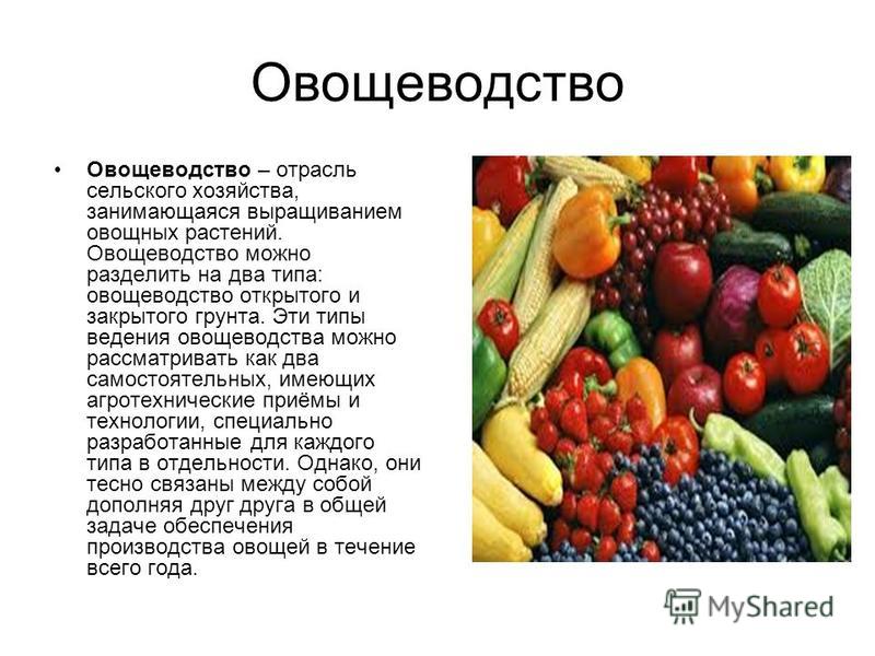 Культура овощей