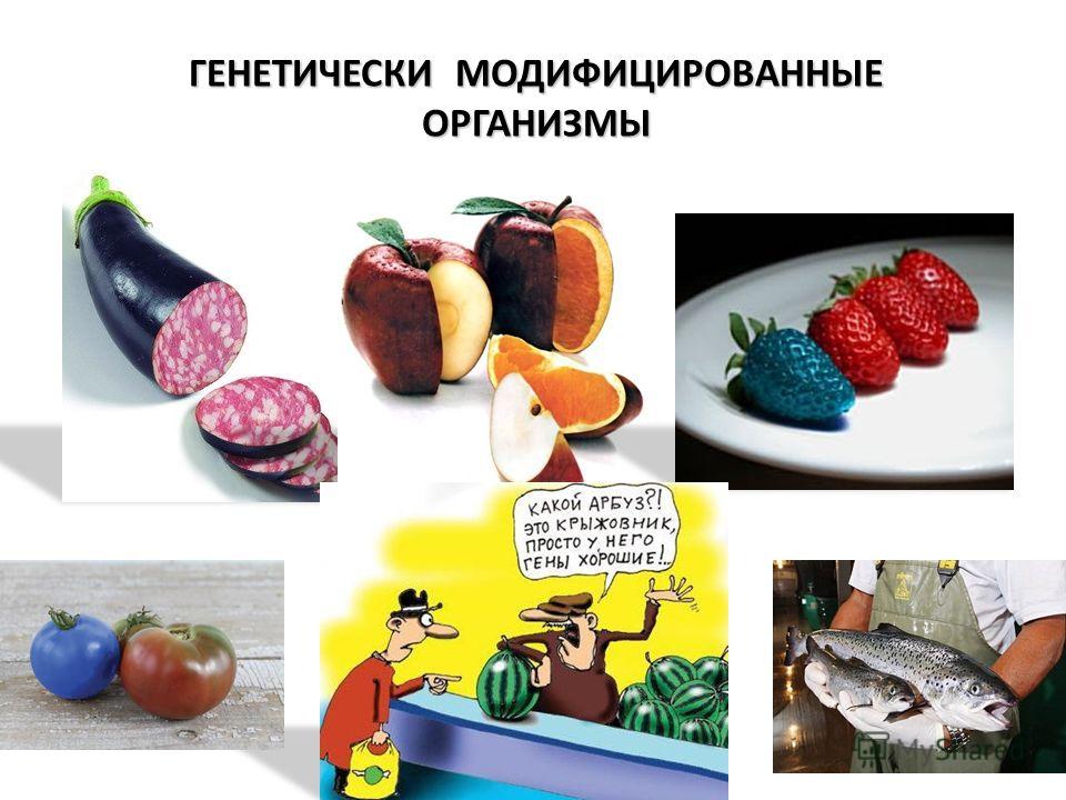 Презентация трансгенные продукты