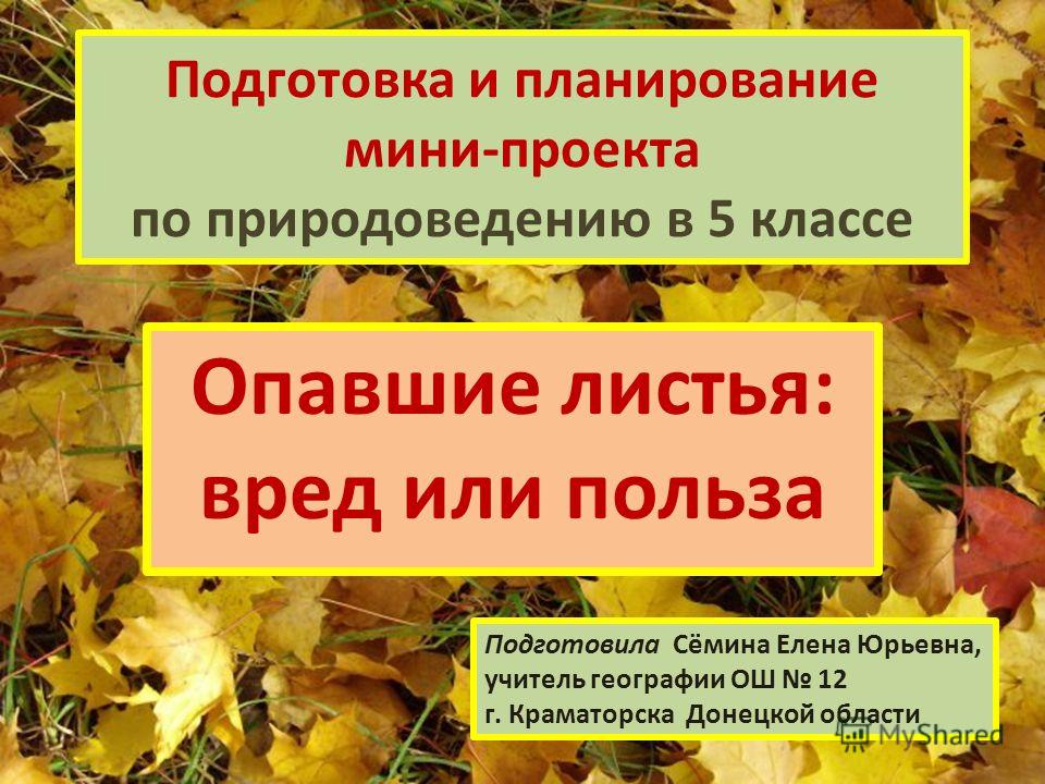 Вред листьев. Опавшие листья вред или польза. Польза опавших листьев. Чем полезны опавшие листья. Вред и польза опавшей листвы.