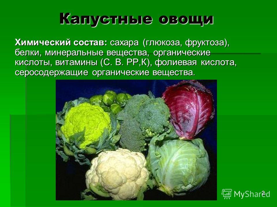 Капуста состав. Характеристика капустных овощей. Капустные овощи презентация. Строение капустных овощей. Ассортимент капустных овощей.