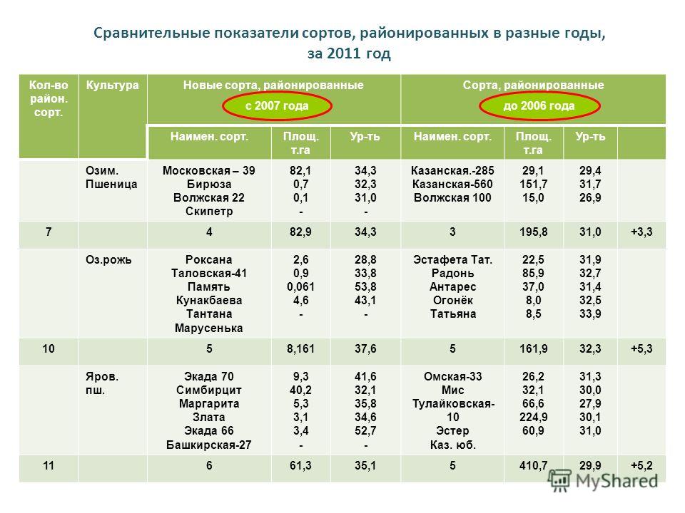 Урожайность томатов форум. Районированные сорта таблица. Урожайность яблок с гектара. Урожайность яблони по годам. Урожайность яблони с 1 га.