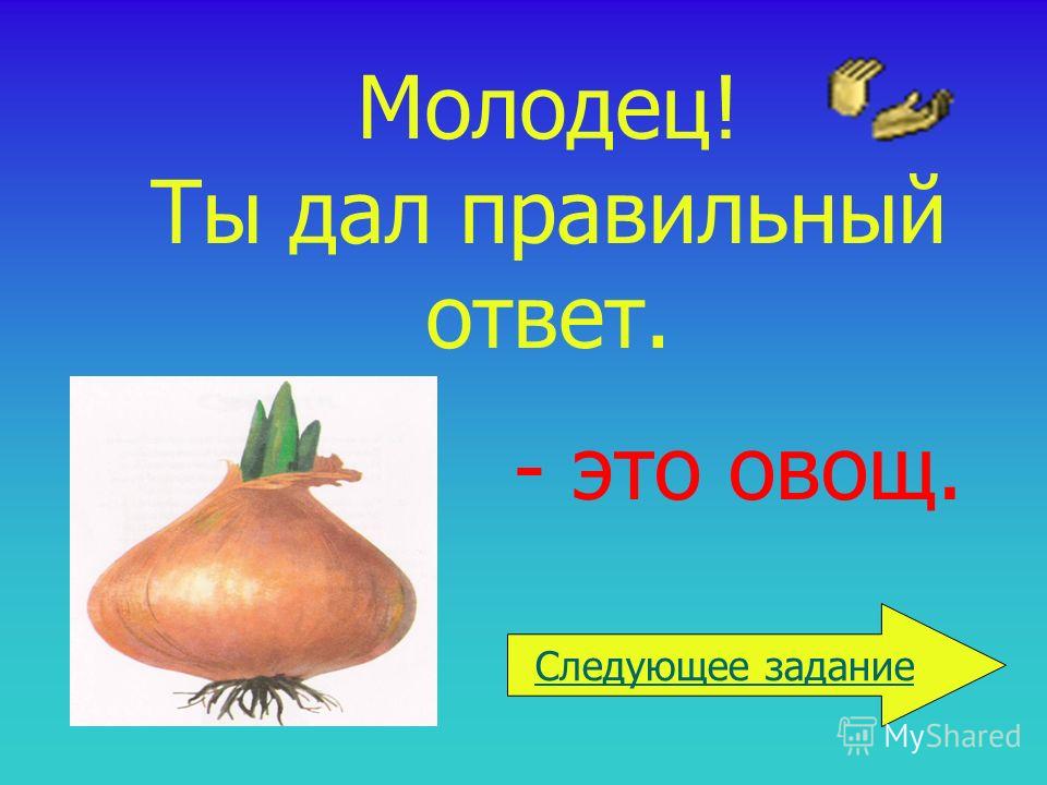 Лук это овощ или нет