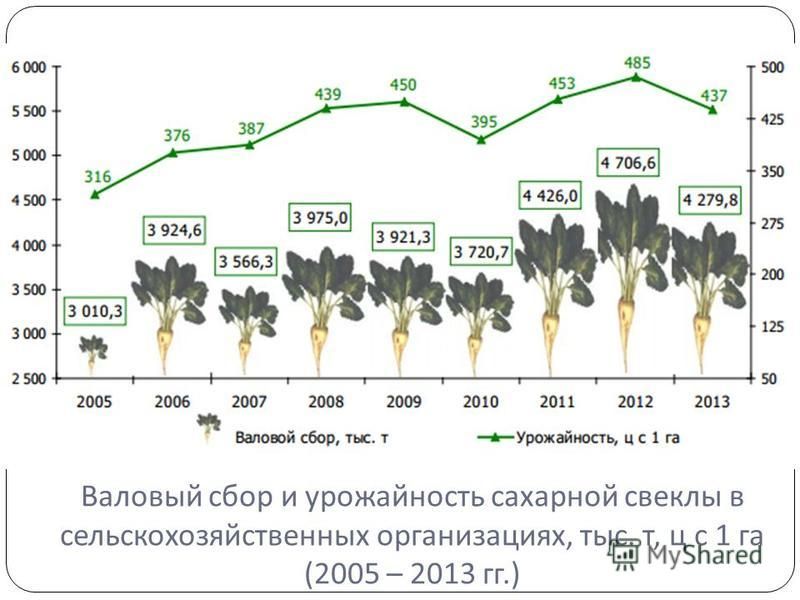 Валовый сахарной свеклы