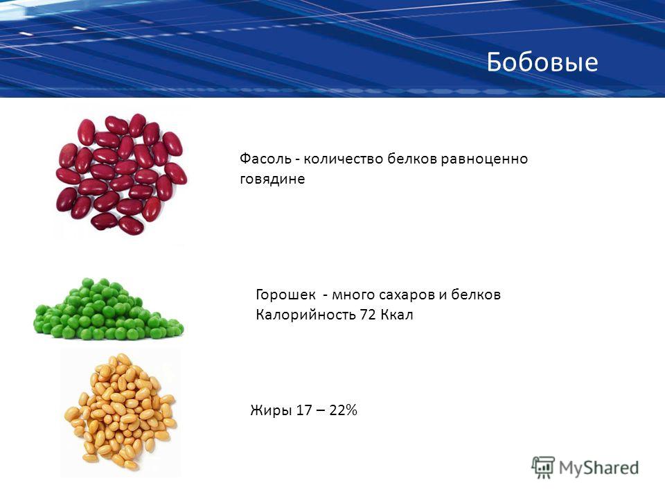 Фасоль красная калорийность на 100 грамм