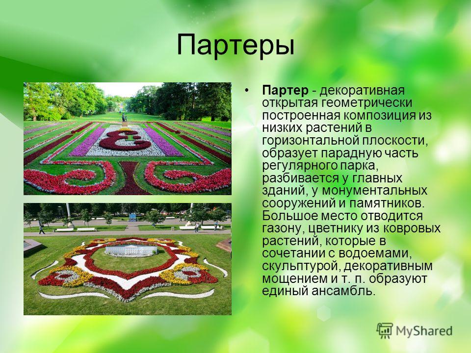Типы партеров. Партерная клумба. Партер. Партер цветник. Партерный цветник план.