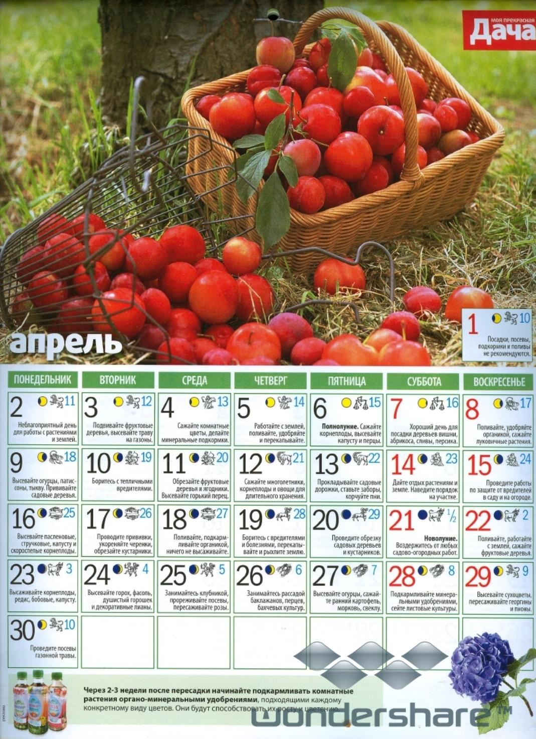 Календарь посадок земляники. Календарь посадки растений. Календарь посадок в саду. Садовый календарь на этот год. Календарь растений садовый.