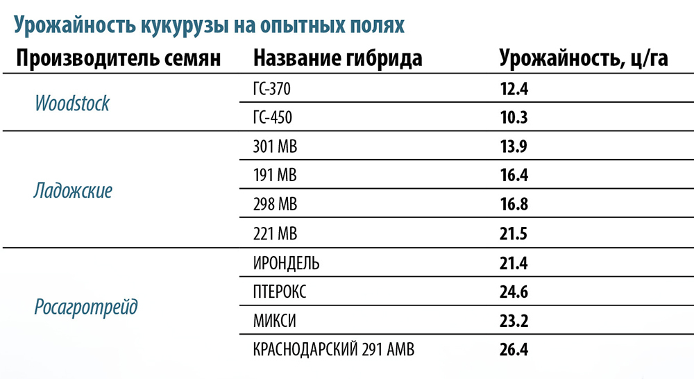 Семена Кукурузы Ладожская 292 Купить Цена