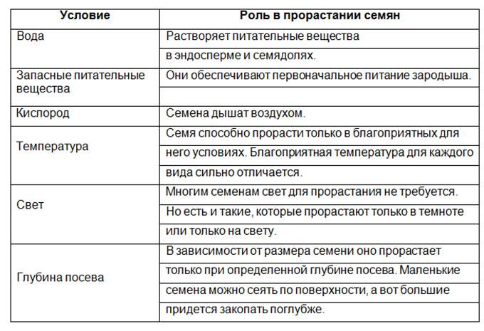 Условия прорастания семян