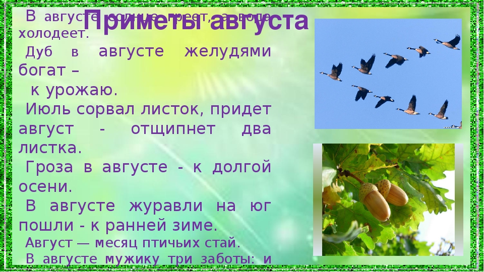 Продолжить июль. Приметы августа для дошкольников. Август народные приметы. Народные приметы лета. Приметы лета для детей.