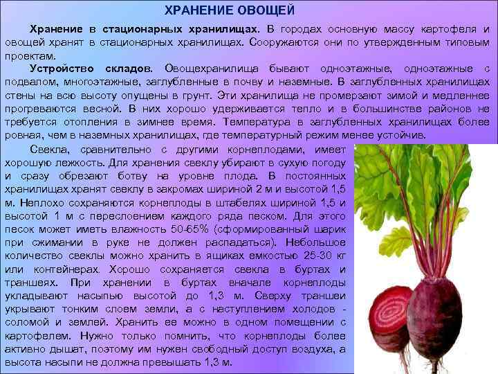 Хранение очищенных овощей