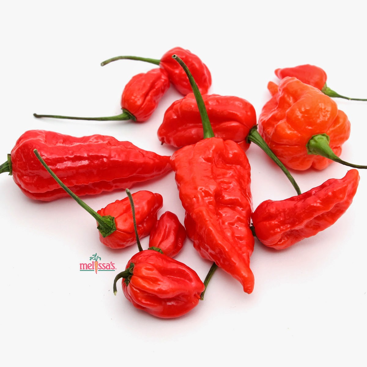 bhut jolokia ghost pepper