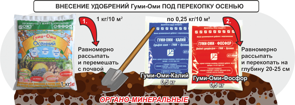 Удобрения под осень. Внесение удобрений осенью под перекопку. Удобрения вносимые осенью под перекопку. Удобрение почвы осенью под перекопку. Какое удобрение вносить осенью под перекопку.