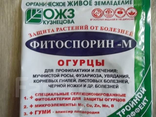 Можно ли опрыскивать смородину фитоспорином. Фитоспорин огурцы. Фитоспорин-м паста для помидор и огурцов. Фитоспорин для огурцов. Фитоспорин для огурцов в теплице.