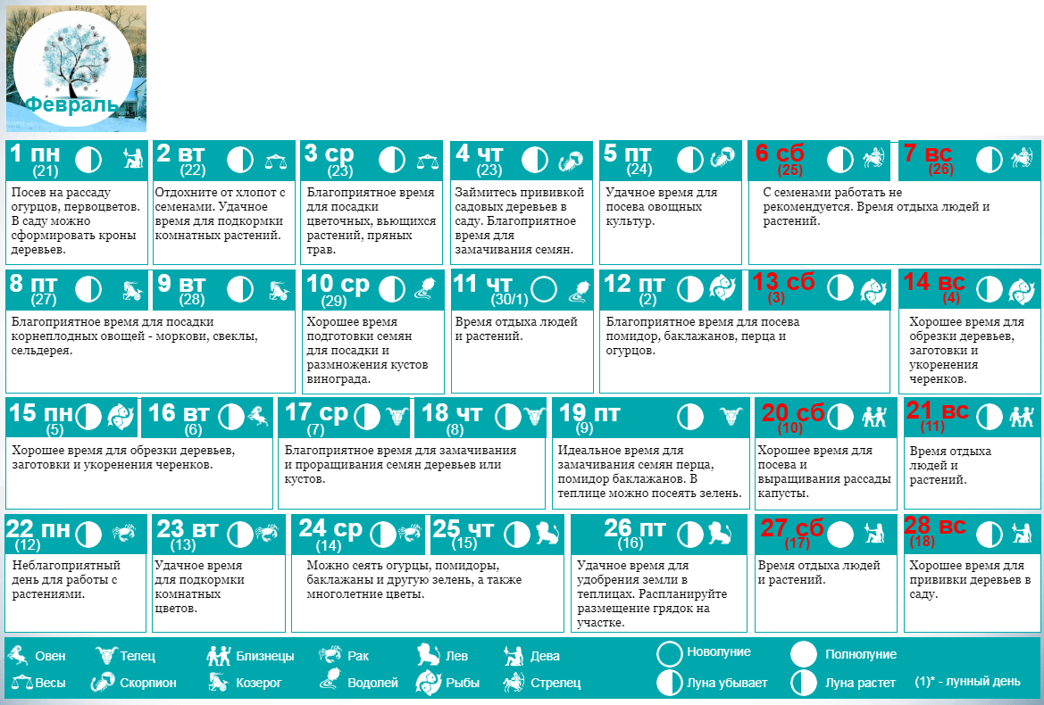 Лунный февраль на январь 2024