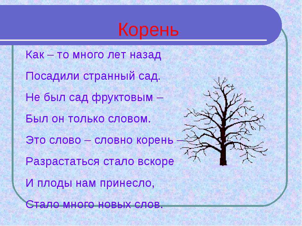 Мечтал корень