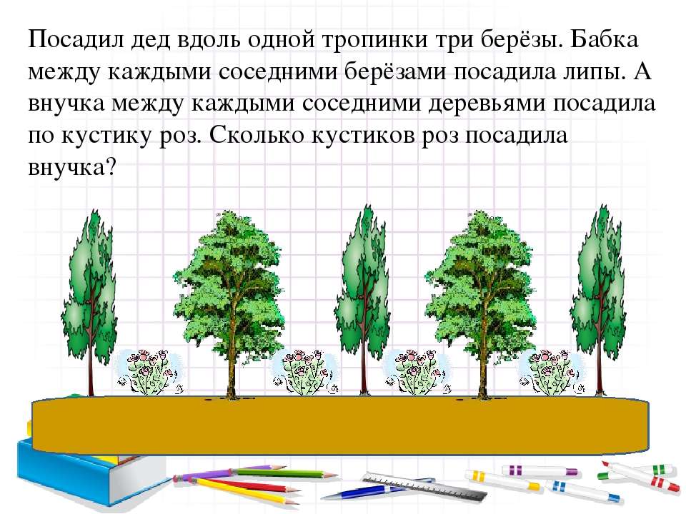 Посади дерево сколько. Посадил дед вдоль одной тропинки три березы. Задача посадка деревьев. Расстояние посадки березы. Посадка березы расстояние между деревьями.