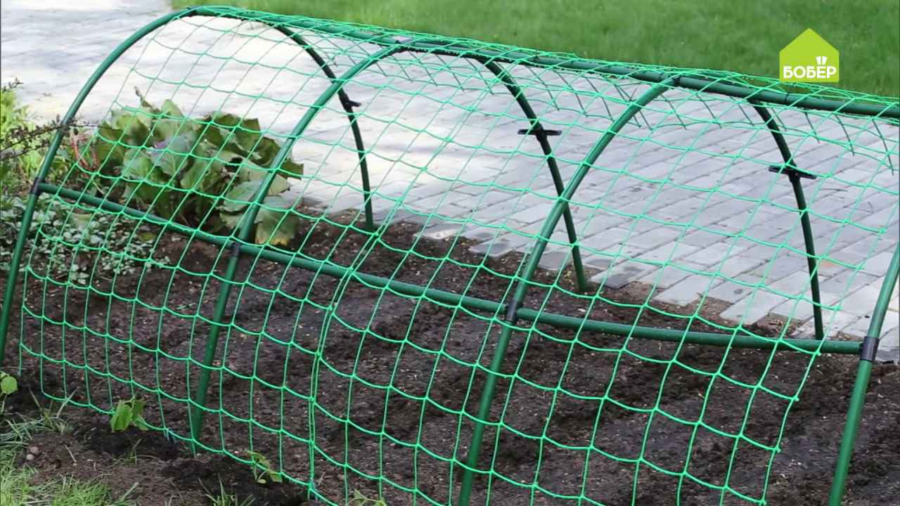 Парник сетка для клубники. Сетка пластмассовая канва. Паутинная сеть для ловли птиц. Забор из сетки рабицы сварной. Помощи сетки.