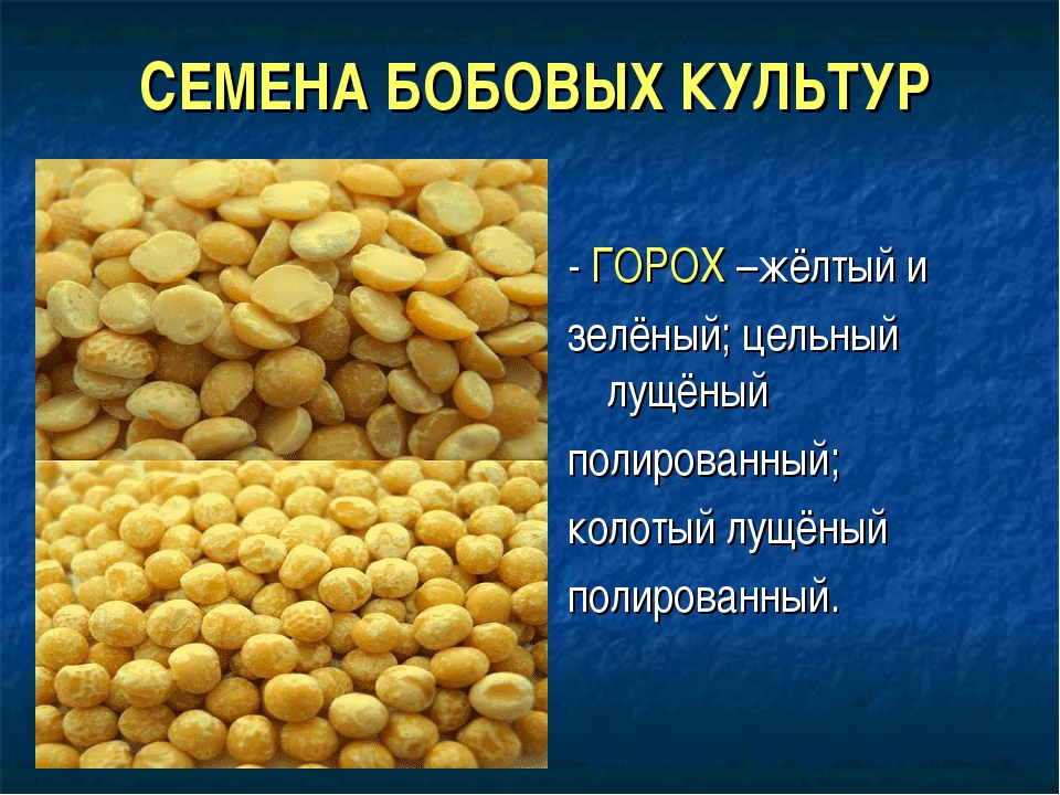 Бобовые продукты список с фото