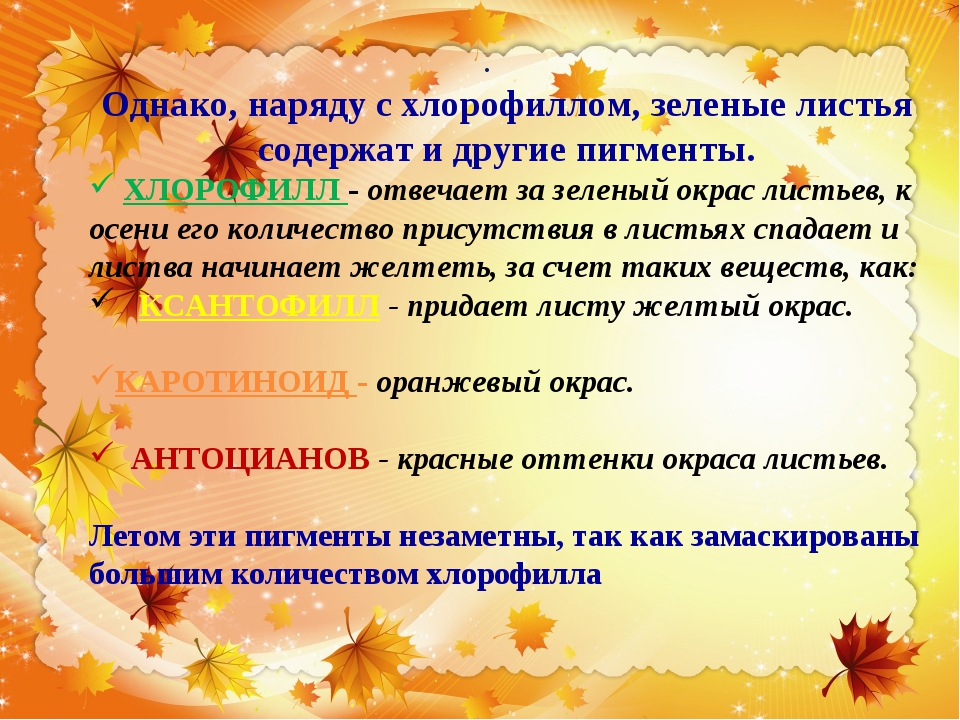 Почему опадают. Исследовательская работа почему желтеют листья. Почему осенью листья желтеют исследовательская работа. Почему опадают листья осенью. Почему осенью листья желтеют и опадают для детей.