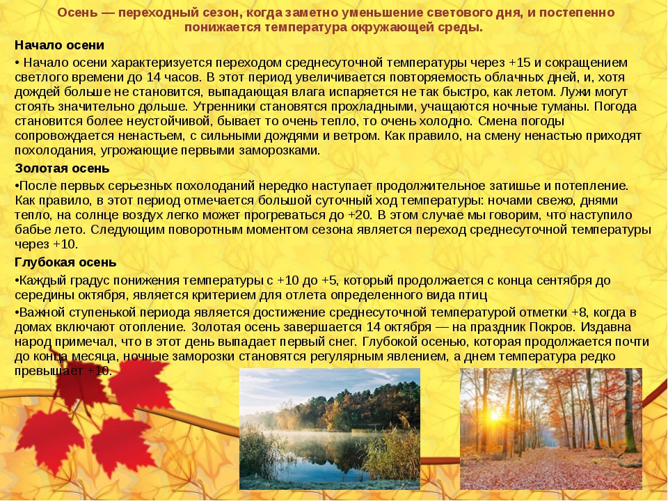 Пять осеней. Явления в жизни растений осенью. Осенние явления в жизни растений. Описание осени. Осенние явления природы в жизни растений.