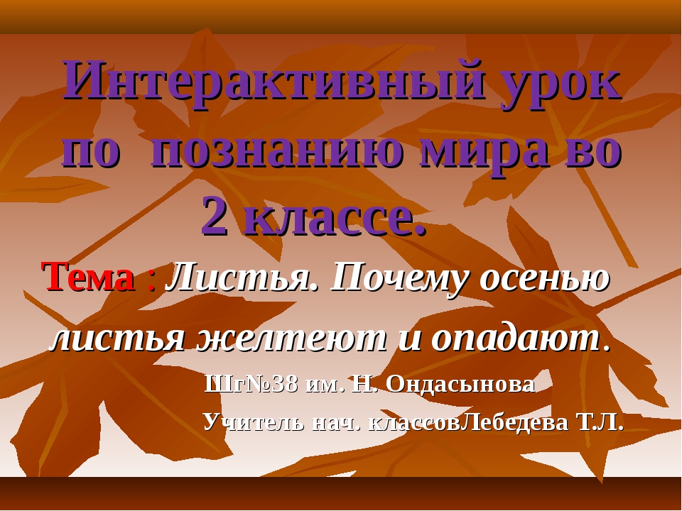 Почему желтеют листья. Почему листья желтеют осенью. Почему опадают листья осенью. Почему опадают листья осенью 2 класс. Индивидуальный проект на тему почему осенью желтеют листья.