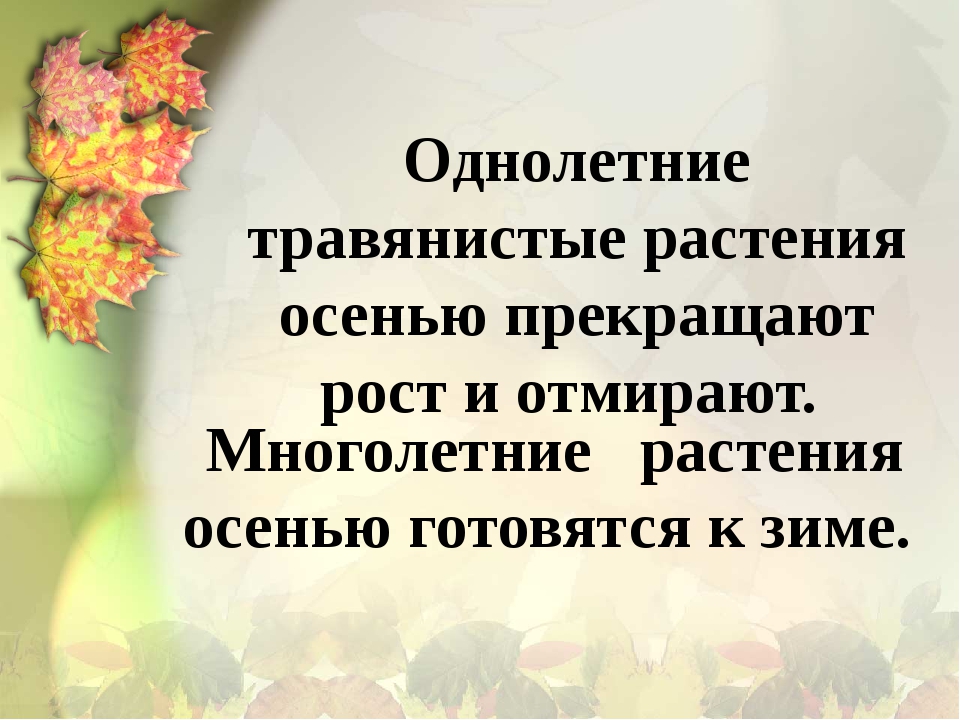 Изменения растений. Изменения растений осенью. Осенние изменения у растений. Что происходит с растениями осенью. Изменения в жизни растений осенью.