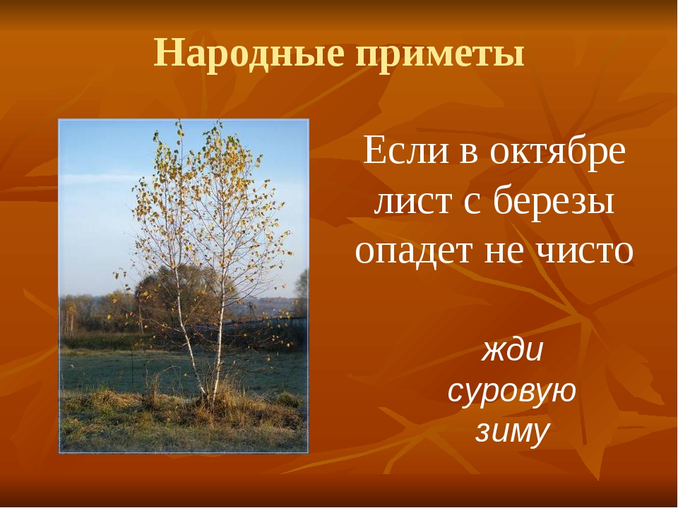 Проект октябрь. Народные приметы. Народные приметы приметы. Народные погодные приметы осени. Народные приметы если.