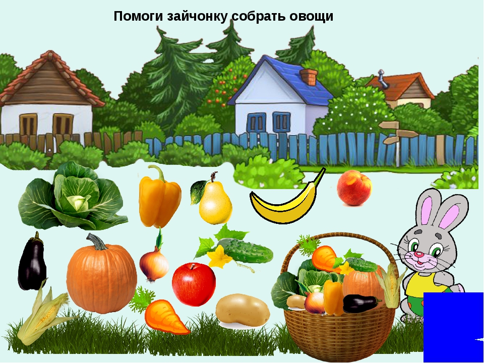 Овощи первая младшая группа. Огород с овощами для детей. Овощи для огорода в детском саду. Огород для дошкольников. Картина огород с овощами для детей.